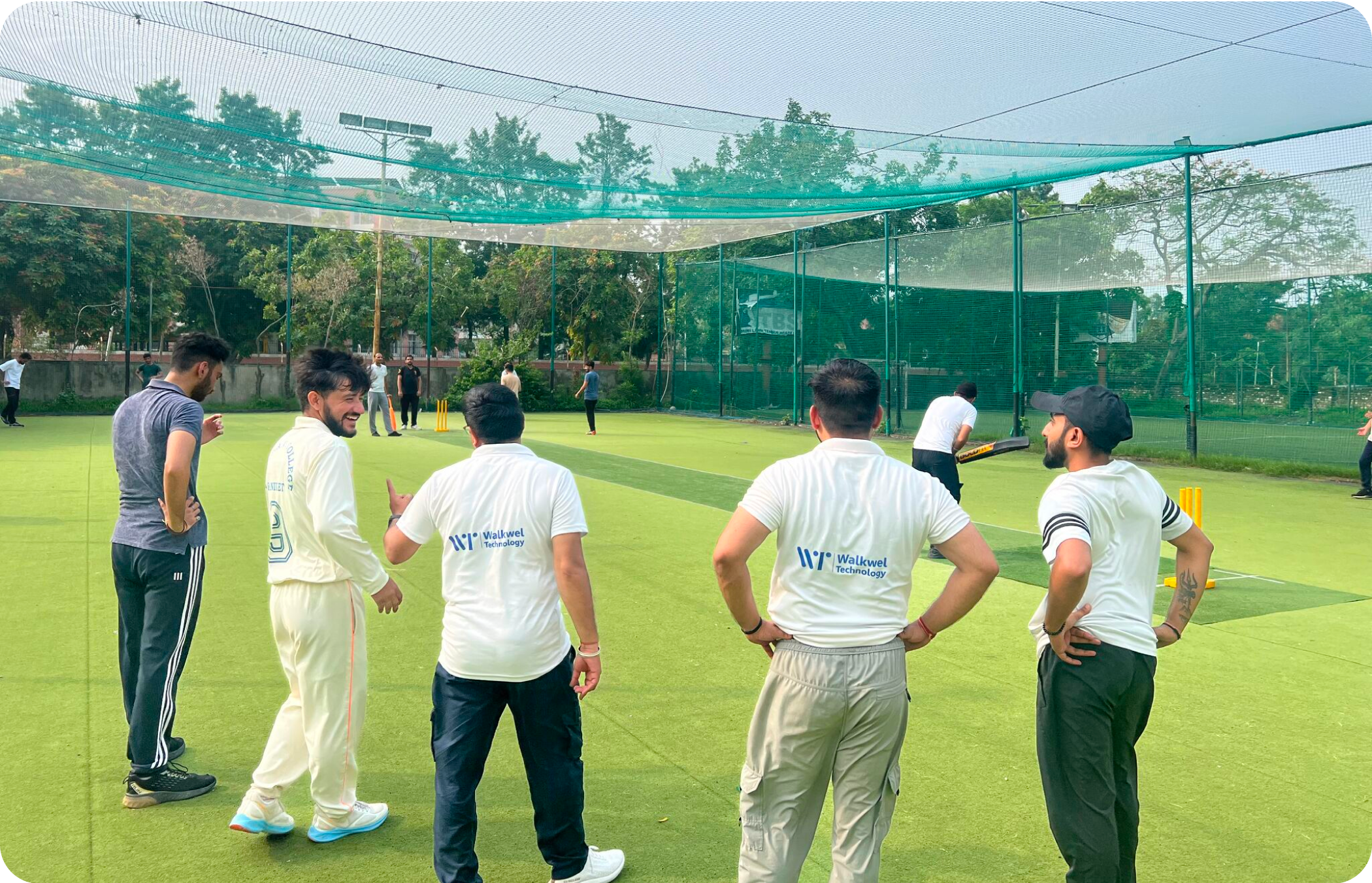 Cricket Activity